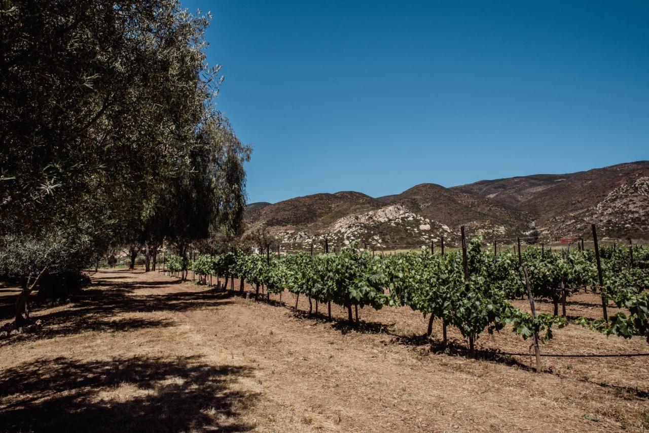הוילה ואלה דה גוואדלופה Rancho Toros Pintos מראה חיצוני תמונה