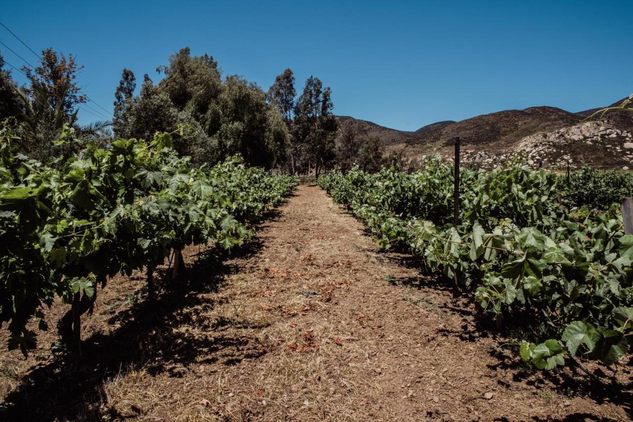 הוילה ואלה דה גוואדלופה Rancho Toros Pintos מראה חיצוני תמונה
