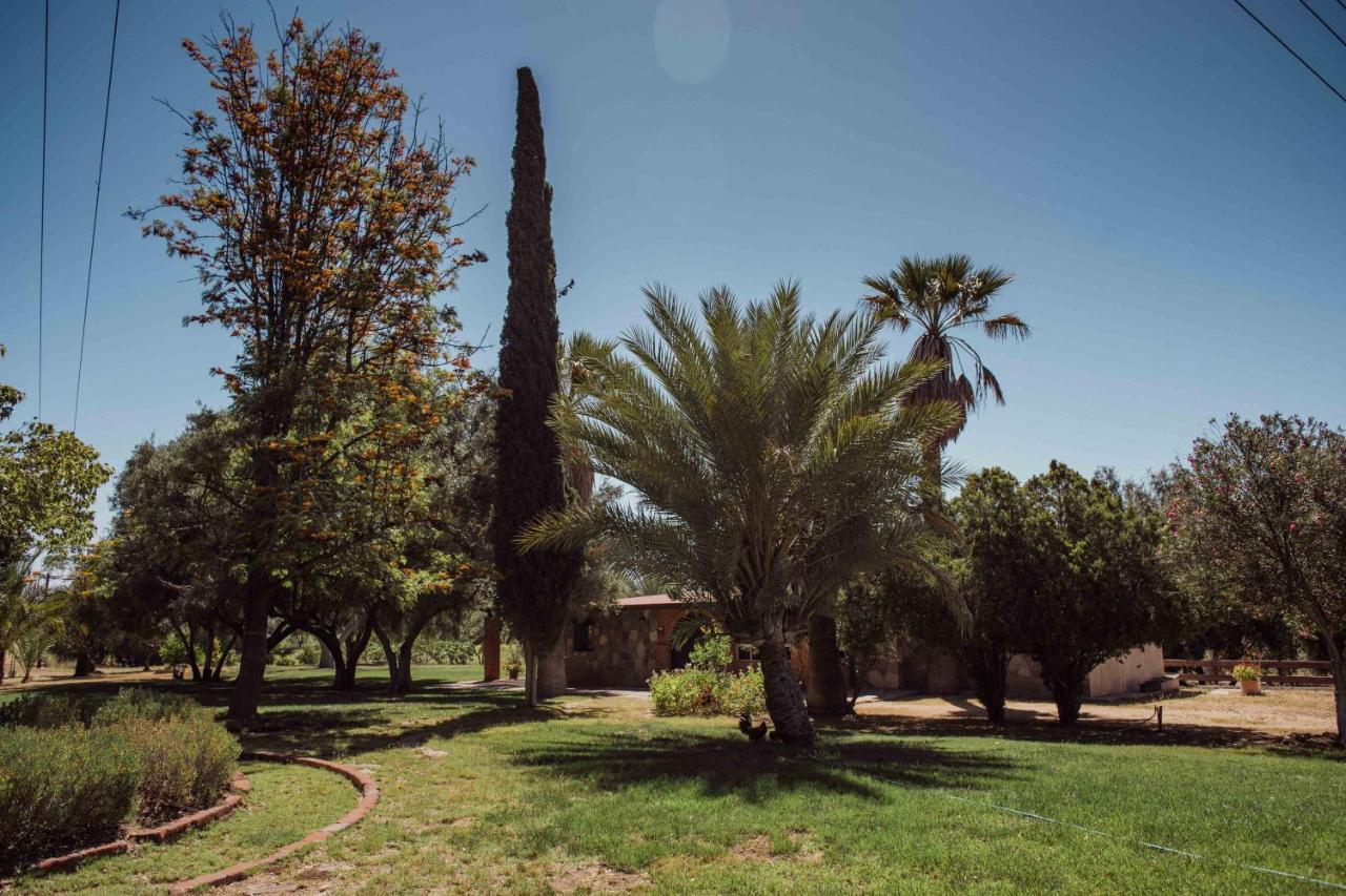 הוילה ואלה דה גוואדלופה Rancho Toros Pintos מראה חיצוני תמונה